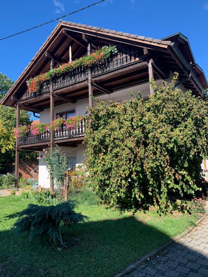 Gaestehaus Zum Rhein Rheinhausen Exteriör bild